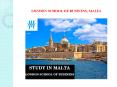 LONDON SCHOOL OF BUSINESS, MALTA-Thirdwave Overseas Education PowerPoint PPT Presentation