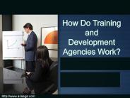 How Do Training and Development Agencies Work? (1)