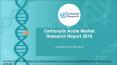 Carboxylic Acids Market Research Report 2019 PowerPoint PPT Presentation