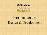 Ecommerce Services houston
