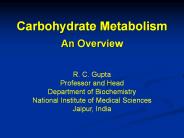 Overview of carbohydrate metabolism
