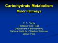 Some minor pathways of carbohydrate metabolism PowerPoint PPT Presentation