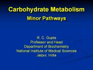 Some minor pathways of carbohydrate metabolism