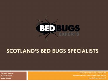 Scotland’s Bed Bugs Specialists