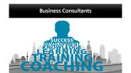 Business Consultant