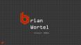 Brian T. Wortel - Experienced Professional From Dyer, Indiana PowerPoint PPT Presentation