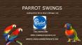 Buy Parrot and Bird Swings Online – All Parrot Products