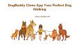 DogBuddy Clone: Dog Sitter On Demand App PowerPoint PPT Presentation