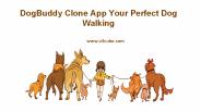 DogBuddy Clone: Dog Sitter On Demand App