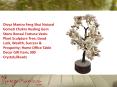 Feng Shui Natural Gomati Chakra Healing Gem Stone Bonsai Fortune Vastu Plant