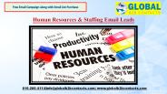 Human Resources & Staffing Email Leads