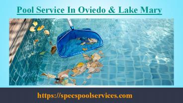 Avail The Best Pool Service In Oviedo & Lake Mary