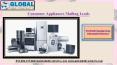 Consumer Appliances Mailing Leads PowerPoint PPT Presentation