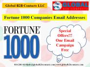 Fortune 1000 Companies Email Addresses