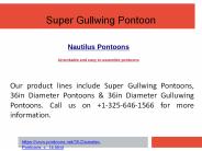 Super Gullwing Pontoon