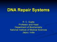 DNA repair systems