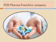 PCD Pharma franchise company PowerPoint PPT Presentation