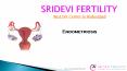 Endometriosis Specialist in Hyderabad | Best IUI Center in Hyderabad PowerPoint PPT Presentation