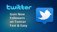 Twitter Followers: Gain New Followers on Twitter Fast & Easy
