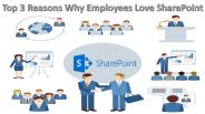 Top 3 Reasons Why Employees Love SharePoint