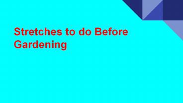 Stretches to do Before Gardening