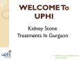Best Kidney Stone Removal Surgery Hospital in Gurugram, Delhi/NCR, India PowerPoint PPT Presentation