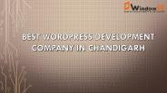 Best Wordpress Development Company in Chandigarh
