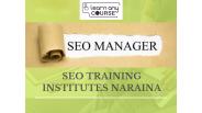 SEO Training Institutes Naraina