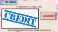 Credit Services Mailing Leads PowerPoint PPT Presentation