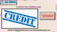Credit Services Mailing Leads
