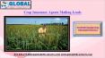 Crop Insurance Agents Mailing Leads PowerPoint PPT Presentation
