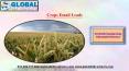 Crops Email Leads PowerPoint PPT Presentation