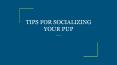 TIPS FOR SOCIALIZING YOUR PUP PowerPoint PPT Presentation