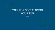 TIPS FOR SOCIALIZING YOUR PUP
