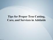 Tips for Proper Tree Cutting, Care, and Services in Adelaide