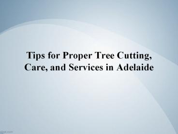 Tips for Proper Tree Cutting, Care, and Services in Adelaide (1)