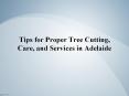 Tips for Proper Tree Cutting, Care, and Services in Adelaide (1) PowerPoint PPT Presentation