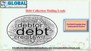 Debt Collection Mailing Leads