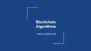 Blockchain Algorithms