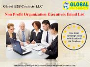 Non Profit Organization Executives Email Leads