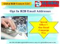 Opt In B2B Email Addresses PowerPoint PPT Presentation