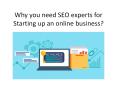 Why you need SEO experts for Starting up an online business? PowerPoint PPT Presentation