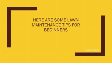 Here are some Lawn Maintenance Tips for Beginners
