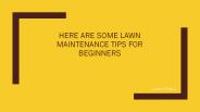 Here are some Lawn Maintenance Tips for Beginners
