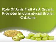 Role Of Amla Fruit As A Growth Promoter