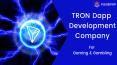 TRON Dapp Development PowerPoint PPT Presentation