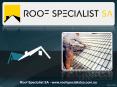Roof Restoration - The Secret Tips You Would Love To Know PowerPoint PPT Presentation