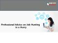 Professional Advice on Job Hunting in a Hurry PowerPoint PPT Presentation