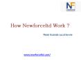 How Newforce Global Service Work ? PowerPoint PPT Presentation