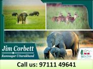 Jim Corbett Contact Number